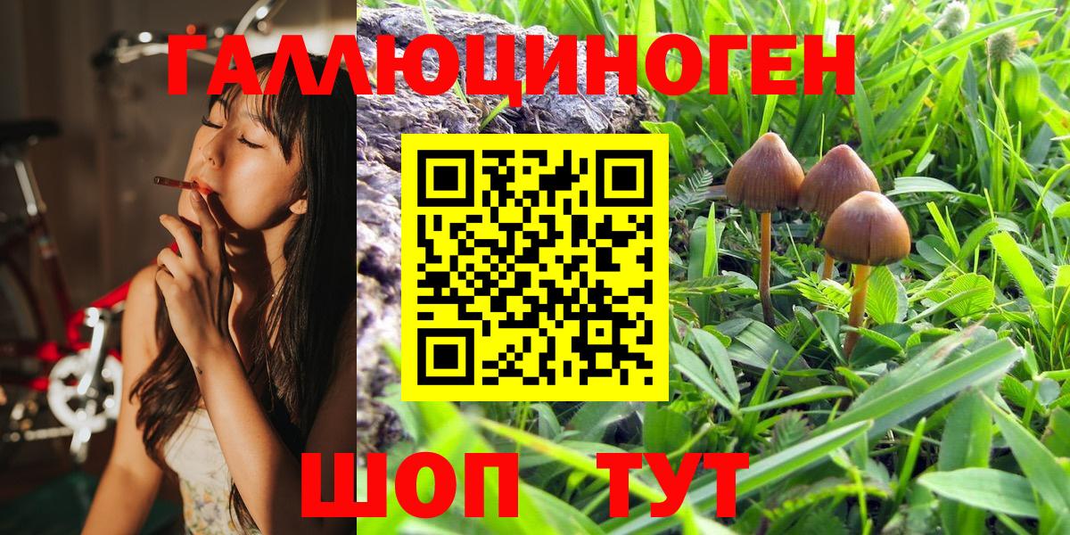 Псилоцибиновые грибы MAGIC MUSHROOMS Воскресенск