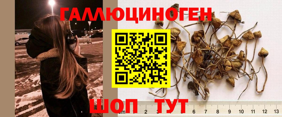 Воскресенск  Галлюциногенные грибы ЛСД  Вход с VPN 
